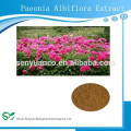Paeonia Albiflora Auszug